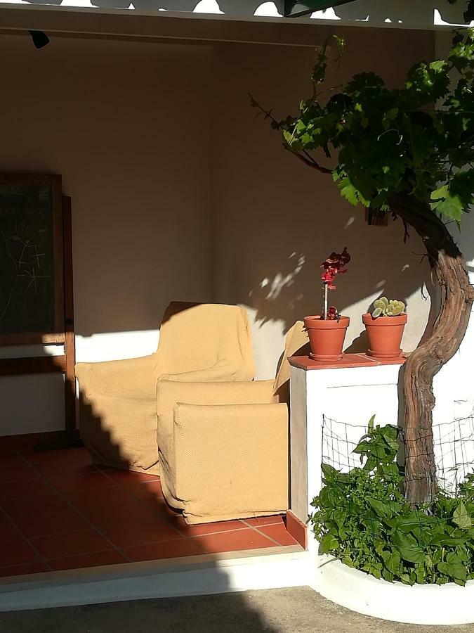 Vila Nova  Casa Dos Pedro'S旅馆 外观 照片